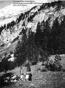 COLO JEUNE FRANCE 1953 col de la Saulce